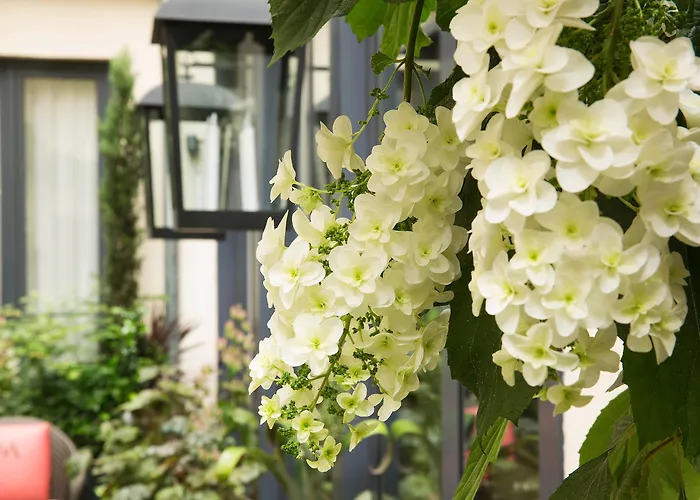 La Villa Madame Parigi